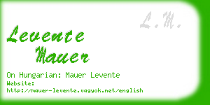 levente mauer business card